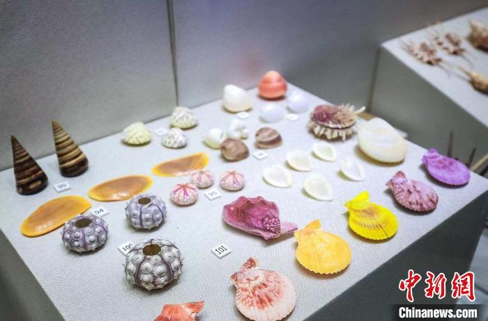 中国海洋渔文化馆展出物品。　吴婧媛 摄