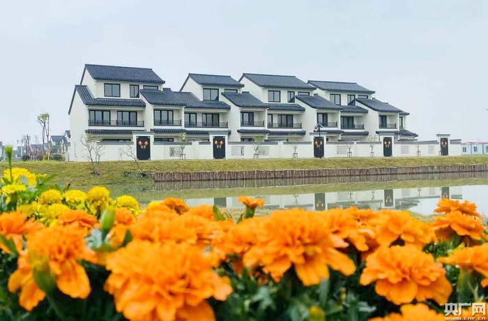 上海嘉定华亭镇联一村187户村民喜提新房（央广网发 受访者供图）