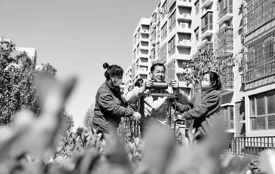 河北邢台市襄都区医疗保障局居家护理服务人员在协助老人体验老人助行器。新华社发