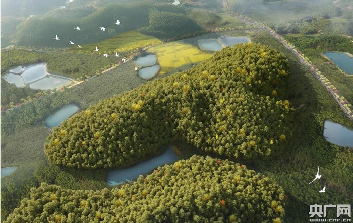 广东云勇国家森林公园改造效果图。（央广网发 通讯员供图）