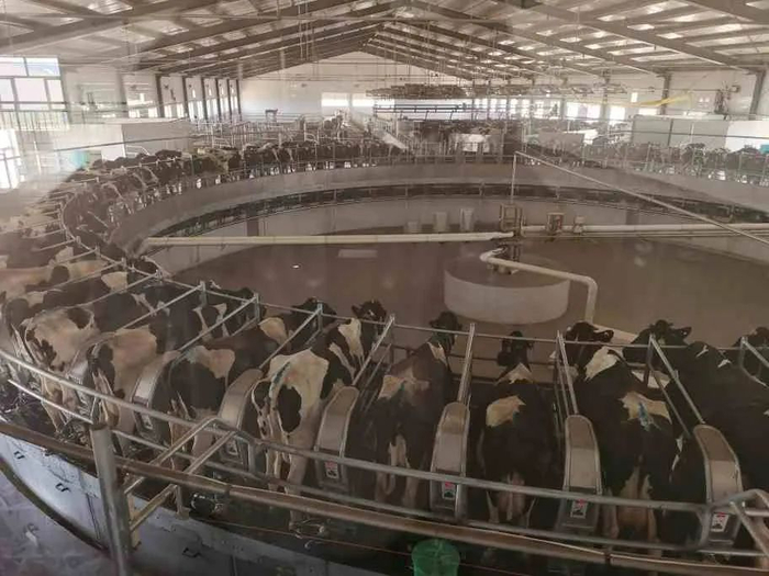 ▲内蒙古区分行针对奶业全产业链打造具有内蒙特色的综合金融服务模式，踏上重振民族奶业的新征程