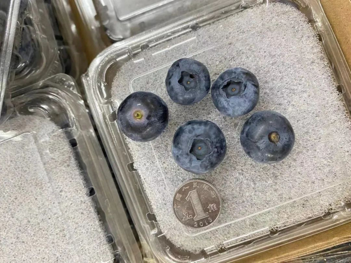 △产品大小对比实拍图