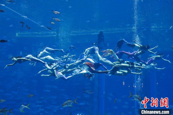 美人鱼表演者在水下表演。　记者王晓斌 摄