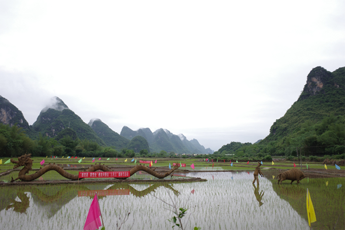 图为遇龙河景区打造的“梦幻遇龙”田园综合体局部。新华网聂晨静 摄
