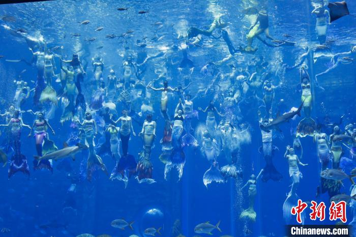 美人鱼表演者在水下表演。　记者王晓斌 摄