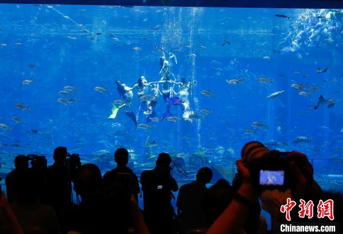 美人鱼表演者在水下表演。　记者王晓斌 摄