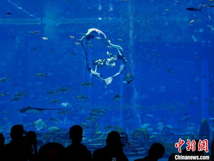 美人鱼表演者在水下表演。　记者王晓斌 摄