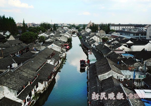 　　图说：上海古镇·枫泾 记者 陶磊 摄