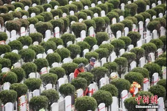 资料图：民众扫墓寄哀思。泱波 摄