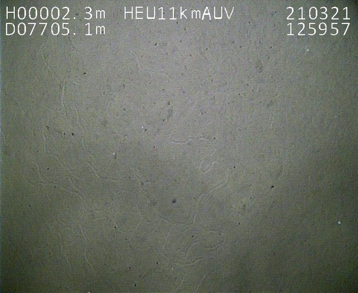 “悟空”号在7705米海底拍摄到的沉积物图片