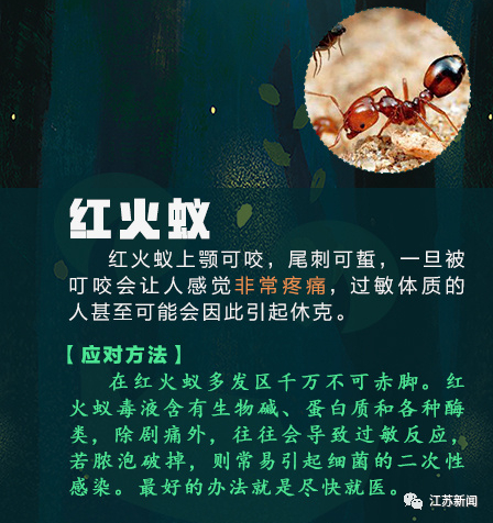 △图自人民日报