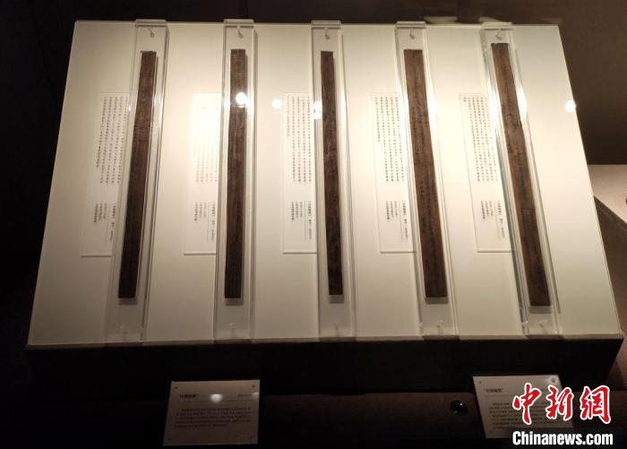 千年竹简再现湖湘史记。　邓霞 摄