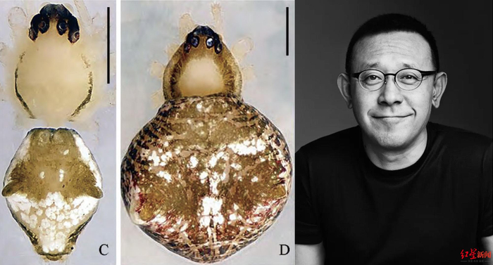  姜文云斑蛛和姜文（右图由姜文方面提供）