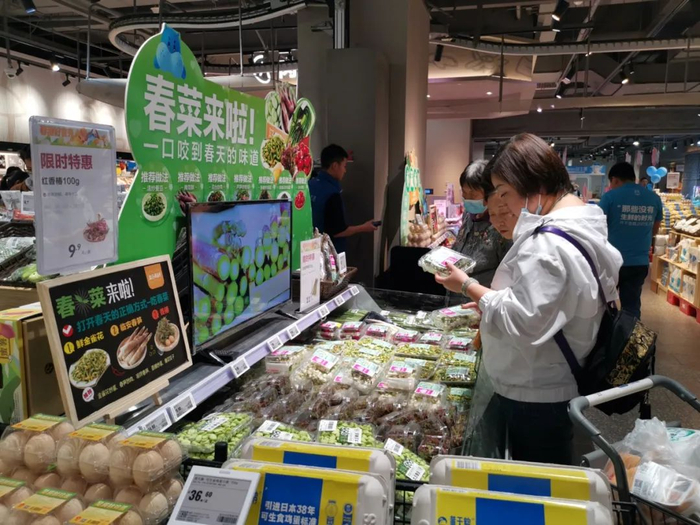 市民选购春菜  盒马供图