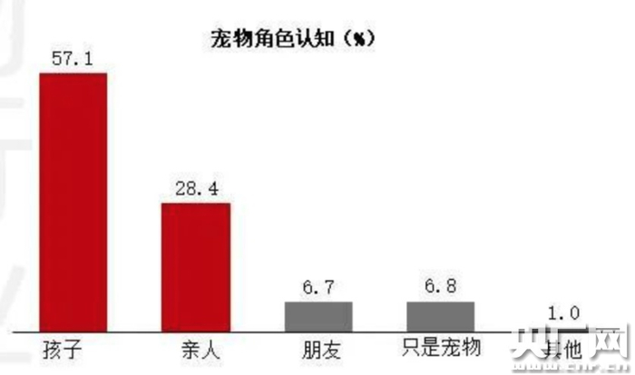 在养宠态度方面，51.7%的宠物主人将宠物视为自己的孩子（图片来自《2020年中国宠物行业白皮书》）
