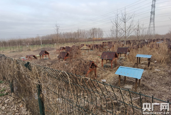 北京大兴区天使城宠物墓园（央广网记者 梁爽 摄）