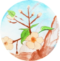 清明的第一个五天，桐花开放了。“华”是开花的意思。季静图