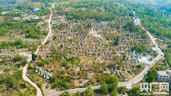 墓地航拍图（记者 周益帆 摄）