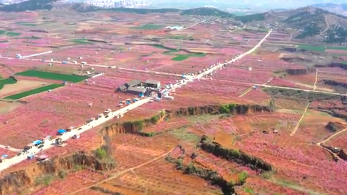 央广网发 宋帅 陈恺摄