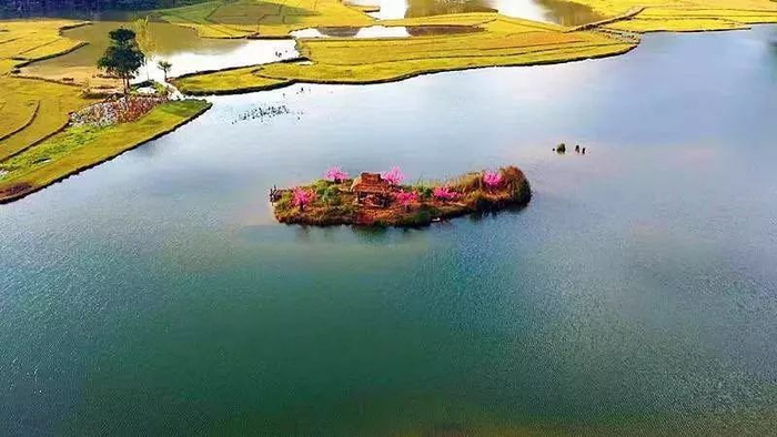 文山州委宣传部供图