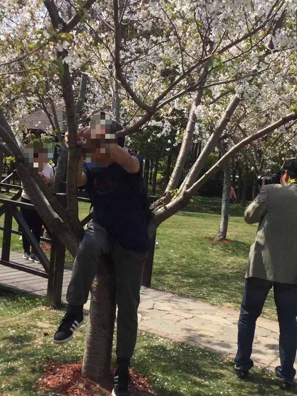 网友供图