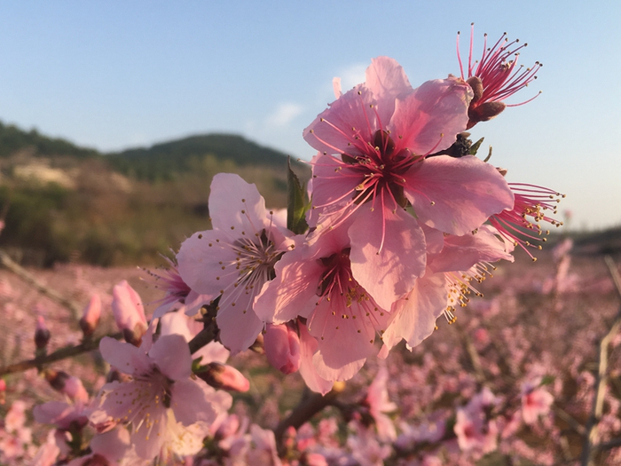 央广网发 宋帅 陈恺摄