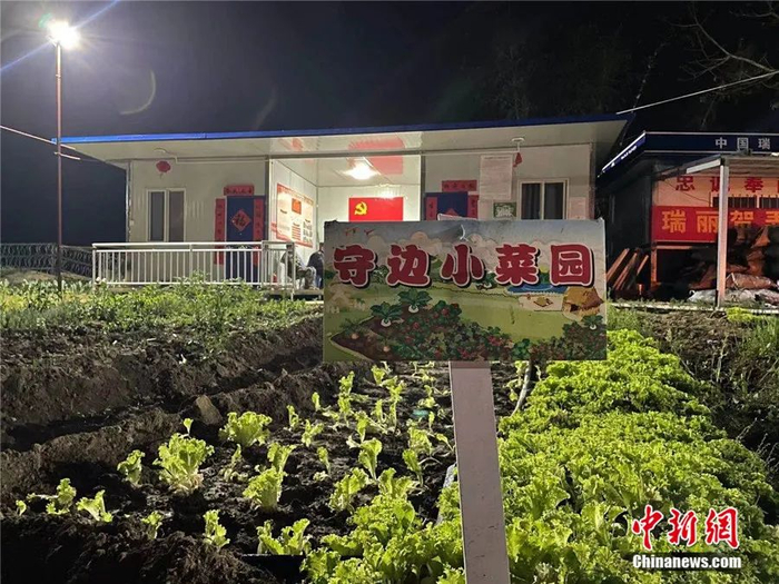 图为守边小菜园。缪超 摄