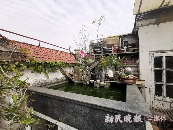 图说：屋顶露台原来建有鱼池  王军  摄