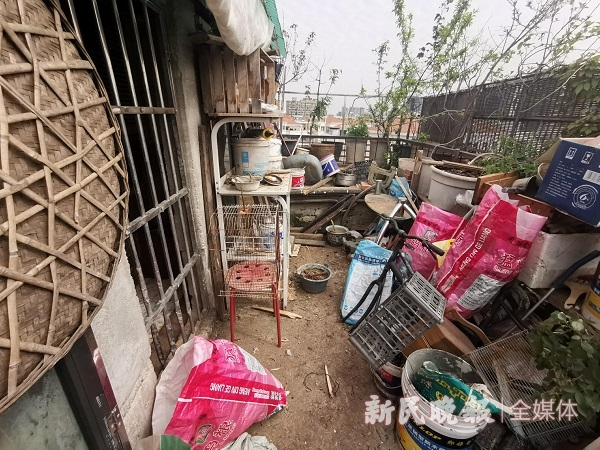 图说：鸡窝鸭舍脏乱内景   王军  摄