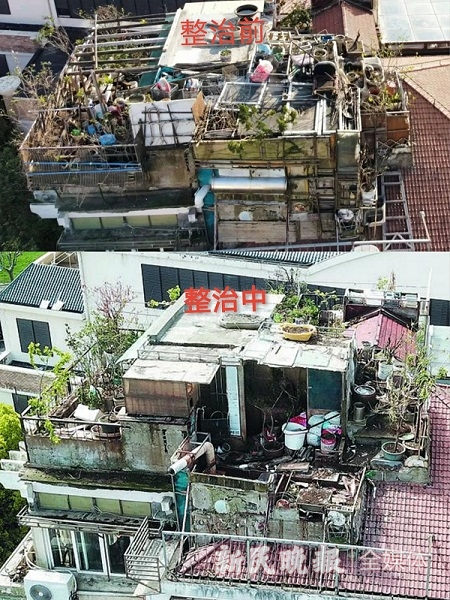 图说：正在整治中的嘉茵苑住房楼顶 新民晚报记者 王凯 摄