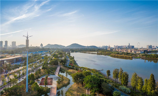 图片来源于网络