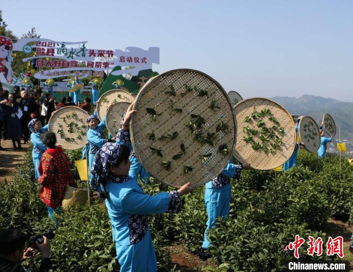 簸茶表演 刘浩 摄