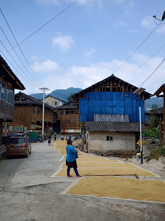 ▲高德飞的家乡