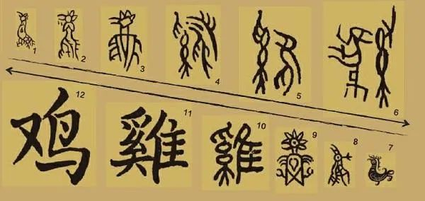 图为中国汉字“鸡”的演变过程（来源网络）