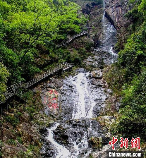 资料图：浙江开化钱江源国家公园。　张国友 摄