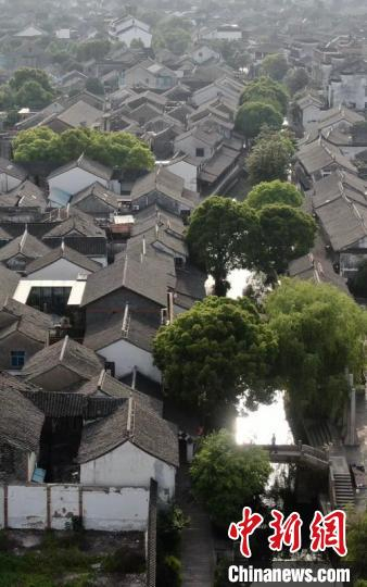 航拍黎里，盈盈绿水穿镇而过。　泱波 摄