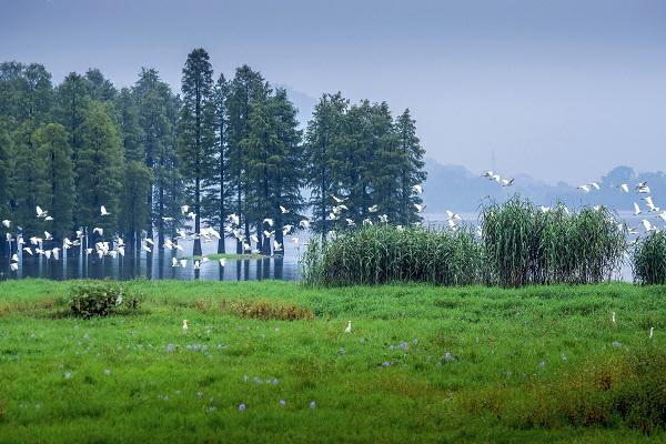 图说：四明湖 邱文雄摄