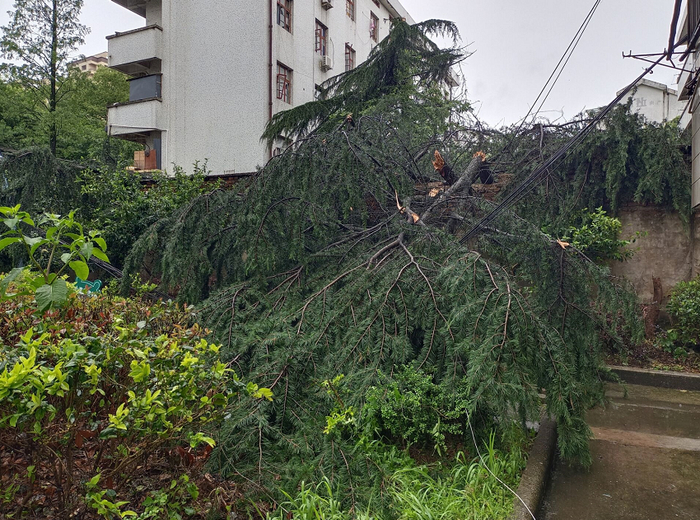 5月10日下午，浙江省常山县遭强对流袭击。10日14时至11日14时，全县有17个站点出现8级以上大风。&nbsp; 本文图片&nbsp;“中国气象局”微信公号