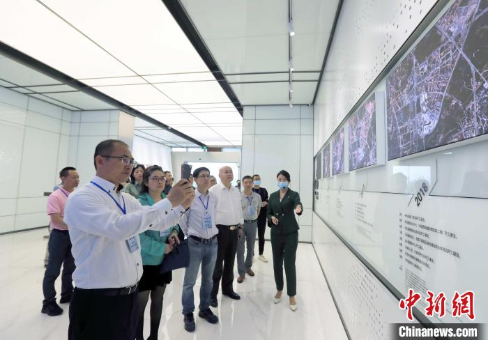 海外华文媒体参观天府CBP城市展厅。　王磊 摄
