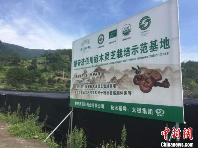 磐安一处安装可追溯系统的中药材基地。　鲍佳进 摄