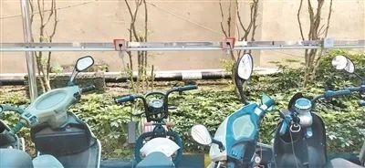 从化流溪御景小区的公共区域安装了7个智能充电桩。图/广州日报·新花城记者：何钻莹