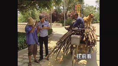 十年前的节目中，“福贵”告诉谭乔自己的故事，并说了一句“往前看”。图/谭乔微博