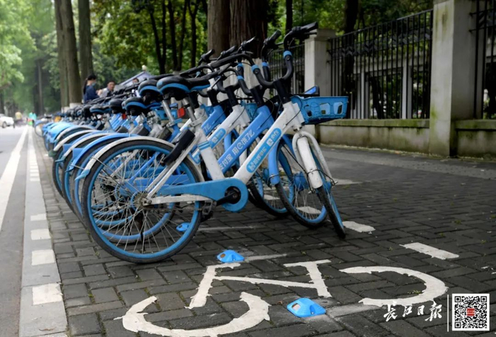  安装在和平大道路边的蓝牙道钉。记者刘斌 摄