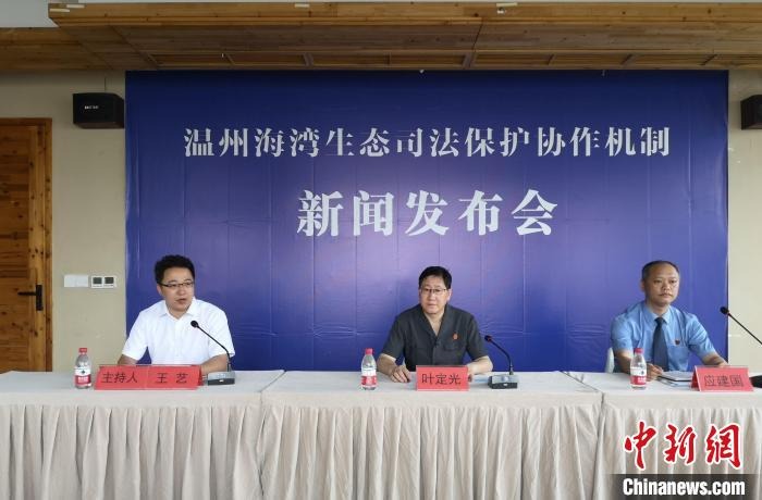 温州海湾生态司法保护协作机制新闻发布会 范宇斌 摄