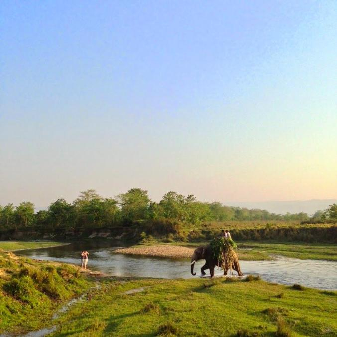  奇特旺国家公园吸引了大量外国游客前去探险徒步，图中两位游客正对着大象拍照。/家明