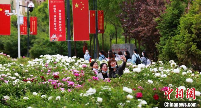 图为青海民族大学师生在牡丹园“打卡”。　宛瑞 　摄