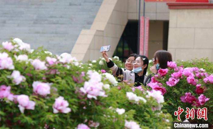 图为师生在牡丹园拍照。　宛瑞 　摄