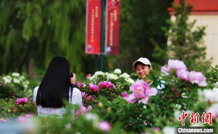 图为青海民族大学师生在牡丹园拍照。　宛瑞 　摄