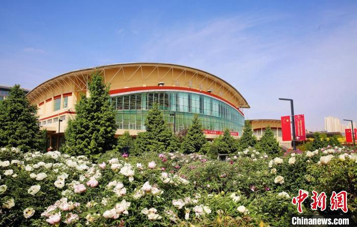 图为牡丹园一角。　宛瑞 　摄