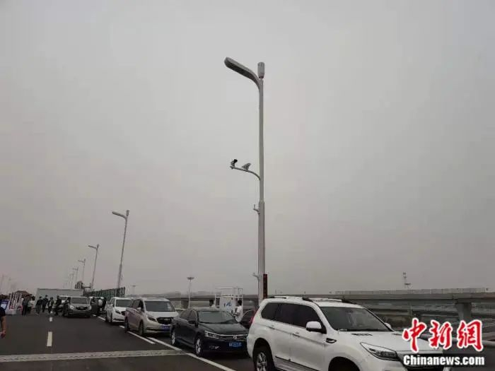 全线三千余根智慧灯杆，可根据天气、车流量自动调节。中新网记者 张旭 摄